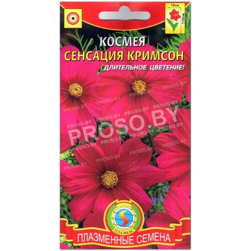 Космея Сенсация кримсон