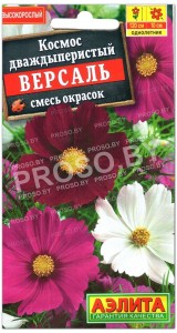 Космос дваждыперистый Версаль, смесь
