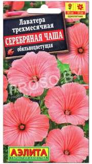 Лаватера трехмесячная Серебряная чаша