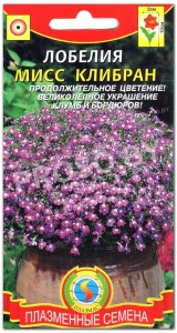 Лобелия Мисс Клибран