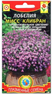 Лобелия Мисс Клибран