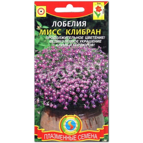 Лобелия Мисс Клибран
