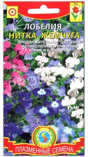 Лобелия Нитка жемчуга
