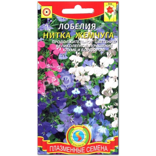 Лобелия Нитка жемчуга