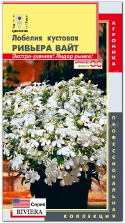 Лобелия кустовая Ривьера вайт