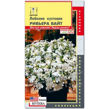 Лобелия кустовая Ривьера вайт