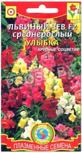 Львиный зев среднерослый Улыбка F2