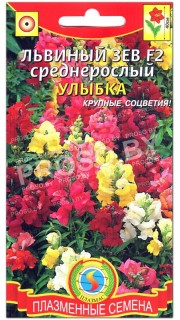 Львиный зев среднерослый Улыбка F2