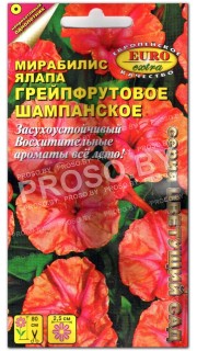 Мирабилис ялапа Грейпфрутовое шампанское