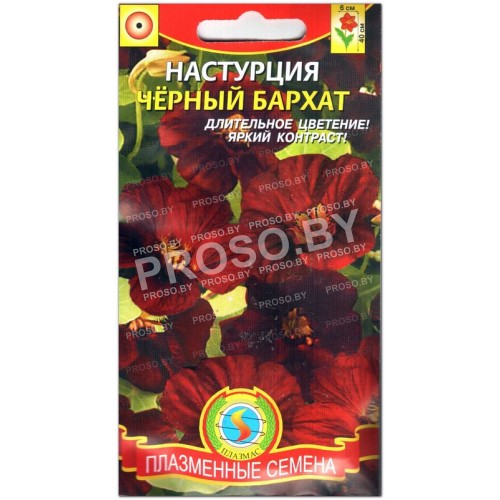 Настурция Черный бархат