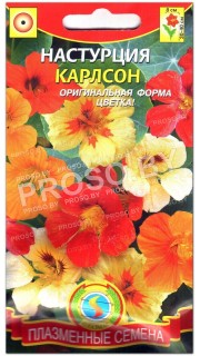 Настурция Карлсон