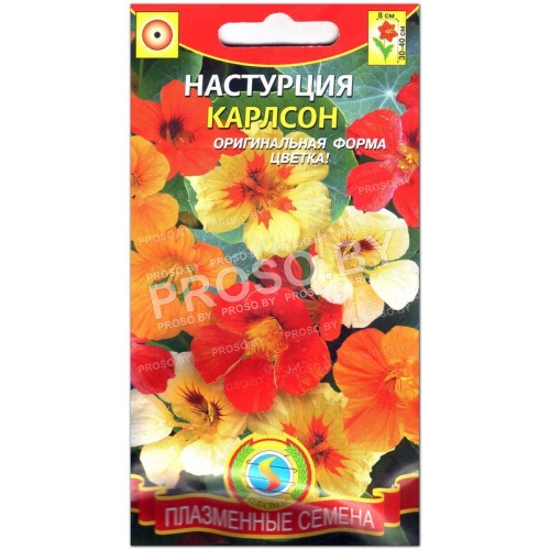 Настурция Карлсон
