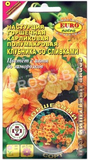 Настурция Клубника со сливками