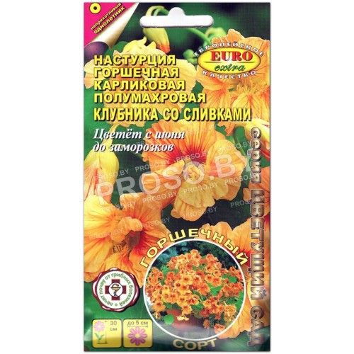 Настурция Клубника со сливками