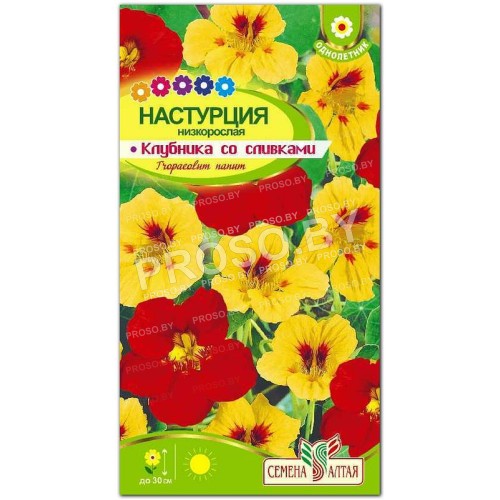 Настурция Клубника со сливками-1