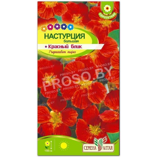 Настурция Красный блик