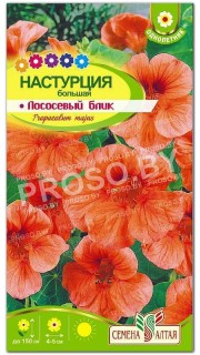 Настурция Лососевый блик