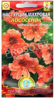 Настурция махровая Лососенок