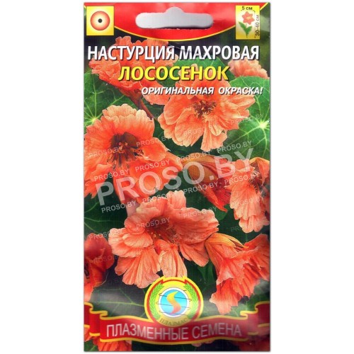 Настурция махровая Лососенок