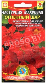 Настурция махровая Огненный шар
