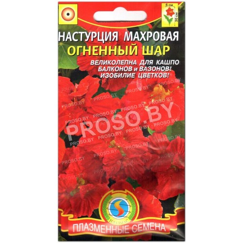 Настурция махровая Огненный шар