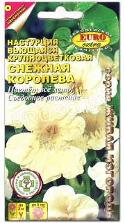Настурция Снежная королева