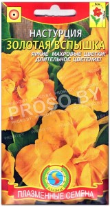 Настурция Золотая вспышка