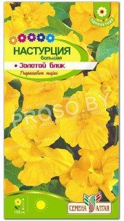 Настурция Золотой блик