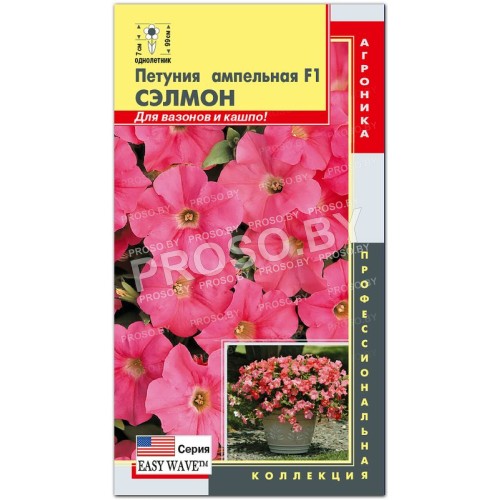 Петуния ампельная Сэлмон F1, серия Easy Wave