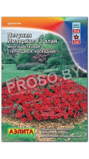 Петуния каскадная Империал алая F1
