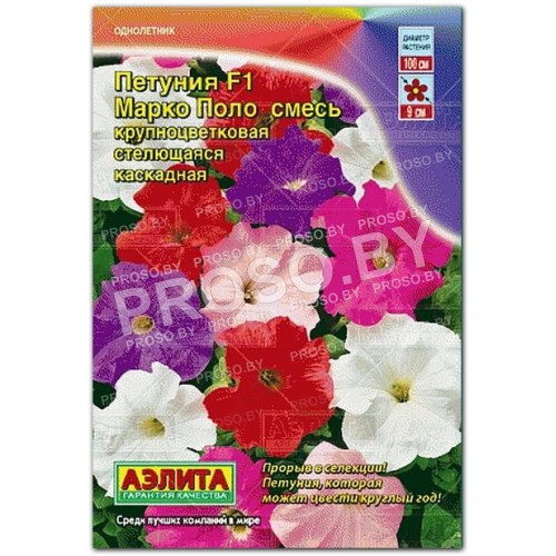 Петуния Марко Поло смесь окрасок F1