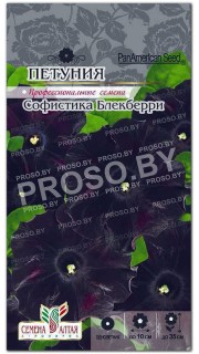 Петуния Софистика Блекберри F1