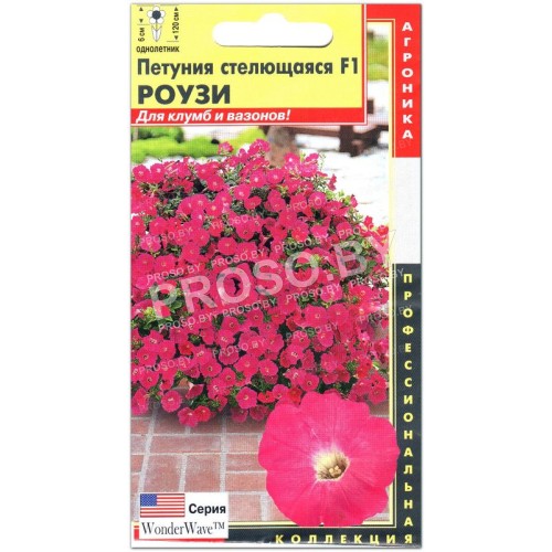 Петуния стелющаяся Роузи F1, серия Wonderwave