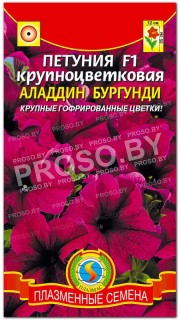 Петуния крупноцветковая Аладдин бургунди F1