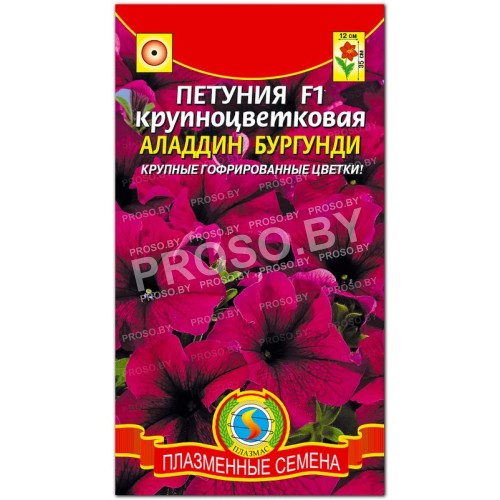 Петуния крупноцветковая Аладдин бургунди F1