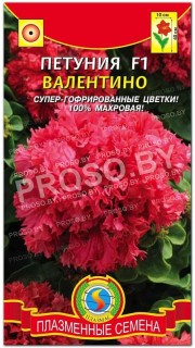 Петуния Валентино F1