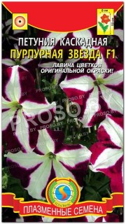 Петуния каскадная Пурпурная звезда F1