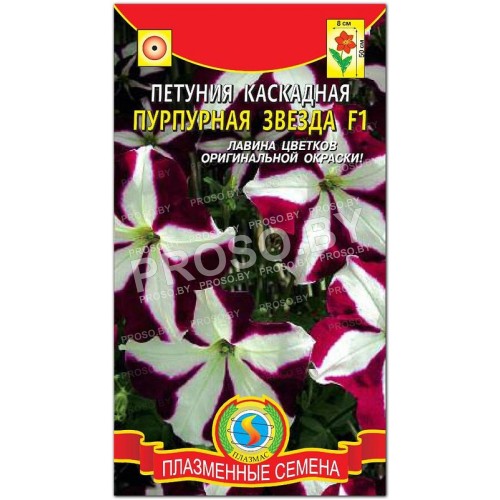 Петуния каскадная Пурпурная звезда F1