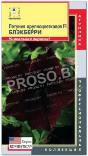 Петуния крупноцветковая Блэкберри F1, серия Sophistica