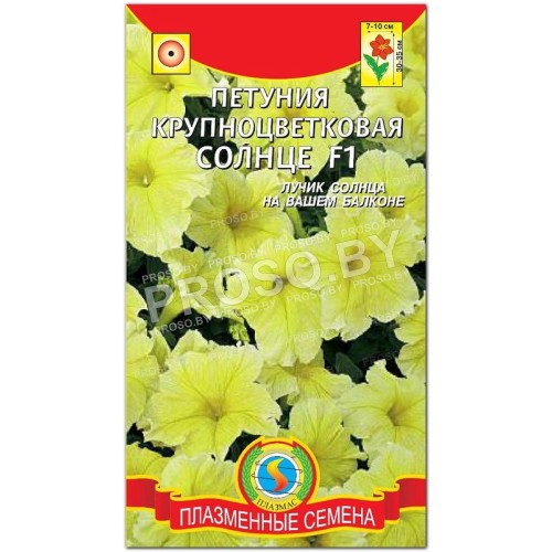 Петуния крупноцветковая Солнце F1