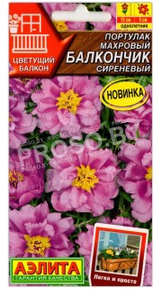 Портулак махровый Балкончик сиреневый