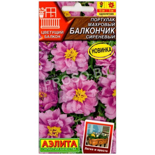 Портулак махровый Балкончик сиреневый