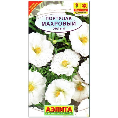 Портулак Махровый белый
