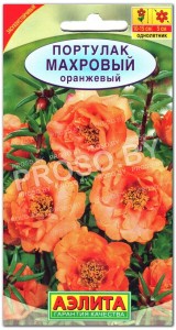 Портулак Махровый оранжевый