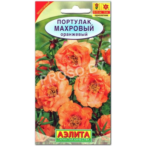 Портулак Махровый оранжевый