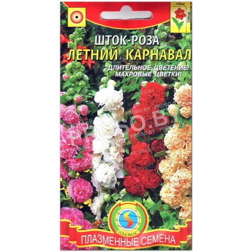 Шток-роза (мальва) Летний карнавал-2