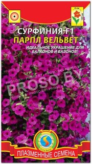 Сурфиния Парпл вельвет F1