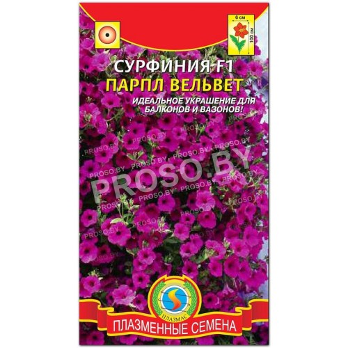 Сурфиния Парпл вельвет F1