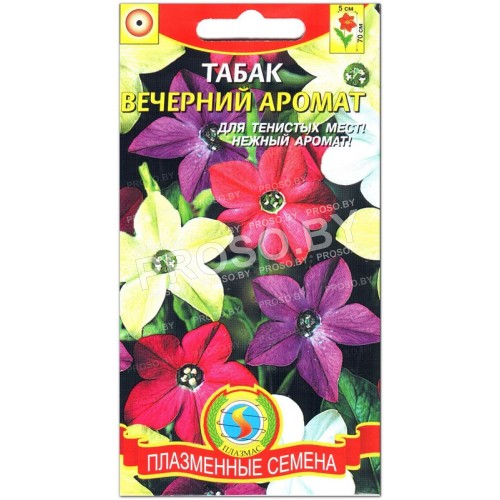 Табак душистый Вечерний аромат