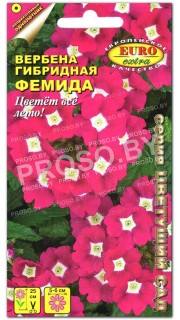 Вербена Фемида